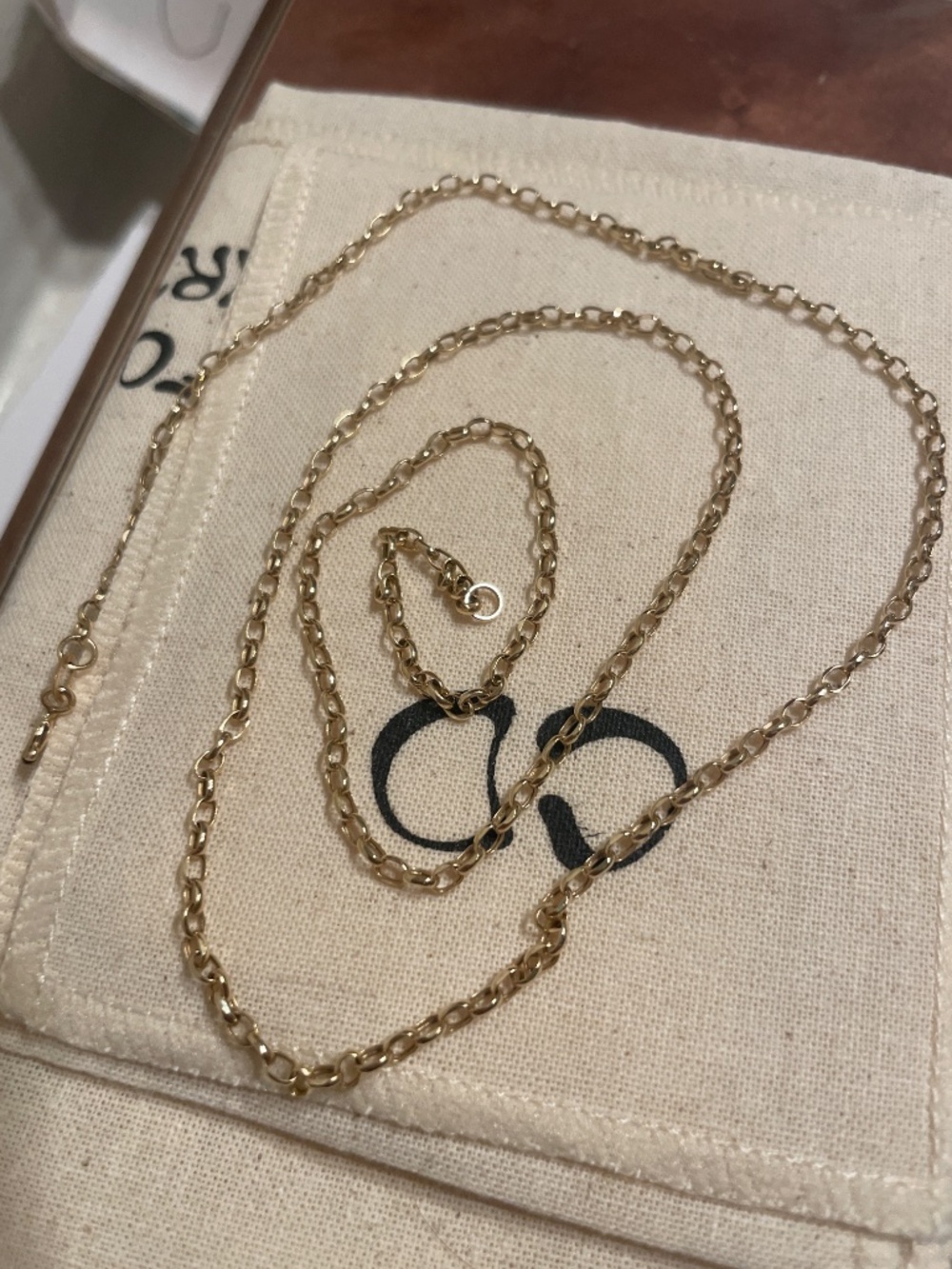 Catbird Festoon Chain 22” Solid 14K Gold - Picture 4 of 5